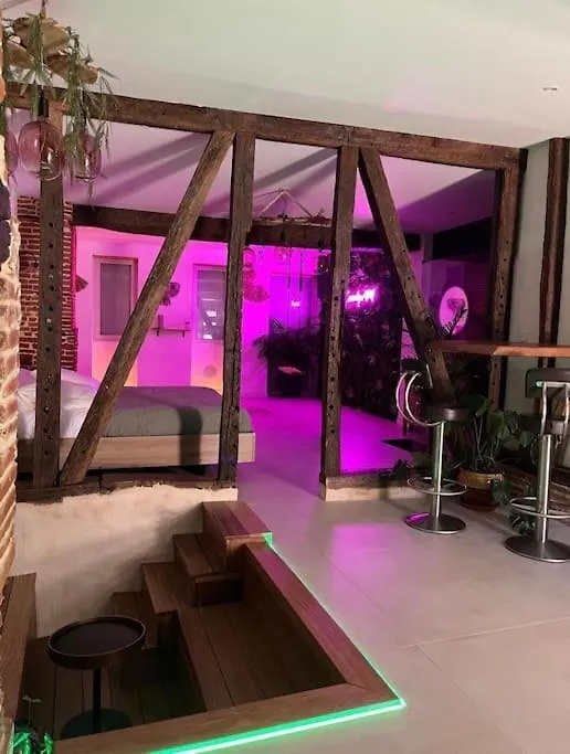 Love Room Toulouse Leguevin 法国